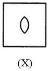 A small square X holding a lens shape