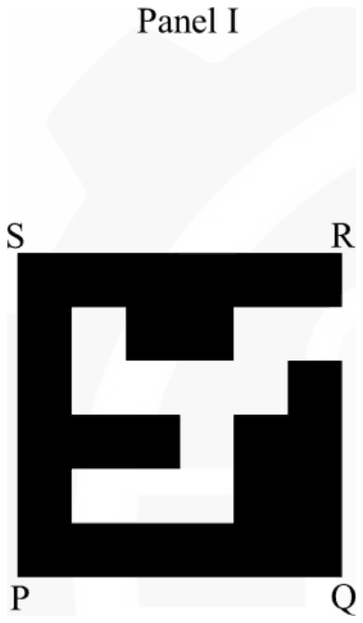 A black square PQRS drawn on a grid with a white region cut out of it