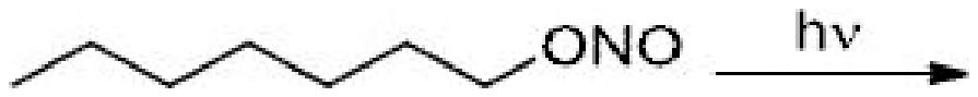 An n-octyl nitrite, R-ONO, irradiated with light