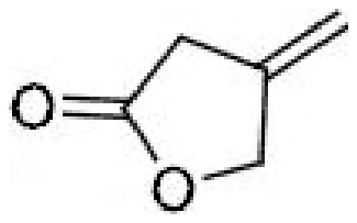 4-Methylenedihydrofuran-2(3H)-one, a five-membered lactone with an exocyclic methylene on the carbon beta to the carbonyl