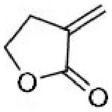 3-Methylenedihydrofuran-2(3H)-one, a five-membered lactone with an exocyclic methylene on the carbon alpha to the carbonyl