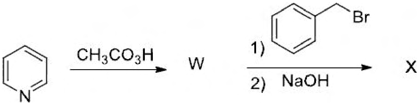 Pyridine treated with CH3CO3H gives W, which with benzyl bromide and then NaOH gives X