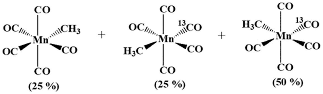 Three CH3Mn(CO)5 products: no 13CO (25 percent), 13CO in one position (25 percent) and 13CO in another position (50 percent)