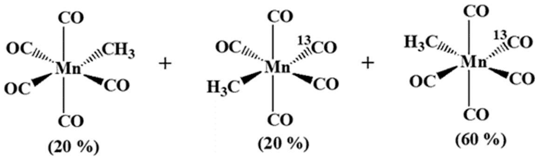Three CH3Mn(CO)5 products: no 13CO (20 percent), 13CO in one position (20 percent) and 13CO in another position (60 percent)