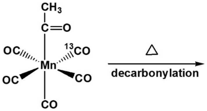 Octahedral CH3C(O)Mn(CO)4(13CO) with the 13CO cis to the acetyl group, heated (decarbonylation)
