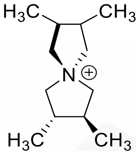 A spiro ammonium ion: two pyrrolidine rings joined at the N+ atom, each carrying two methyl groups on adjacent carbons with wedge and dash bonds