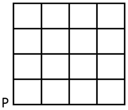 A 4 by 4 grid with P at its bottom-left corner