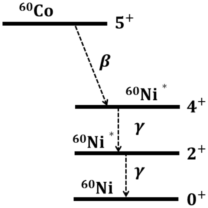 Level scheme: 60Co 5+ beta-decays to 60Ni* 4+, which emits a gamma ray to 60Ni* 2+, which emits a gamma ray to the 60Ni 0+ ground state