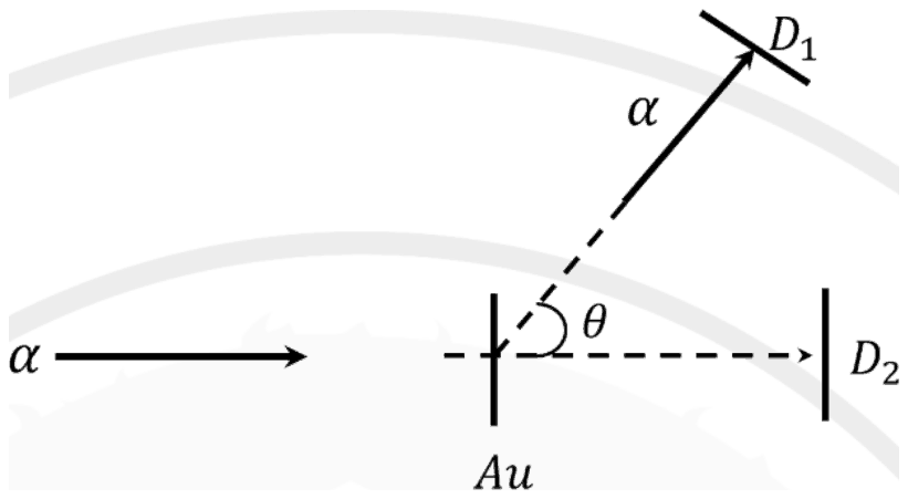 Alpha beam striking an Au foil; detector D1 off the beam axis at angle theta, detector D2 on the beam axis beyond the foil