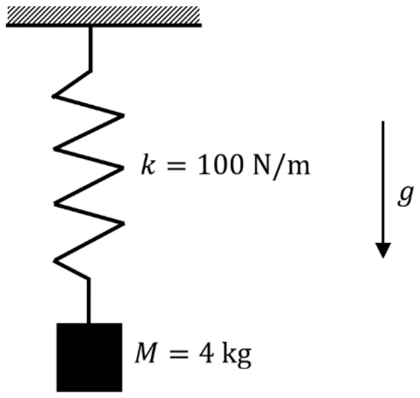 A mass M = 4 kg hanging from a fixed support on a spring of stiffness k = 100 N/m, with gravity g acting downward