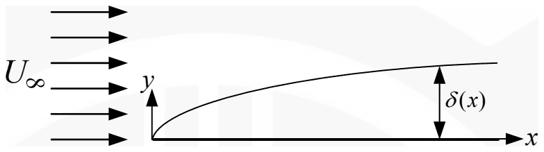 A uniform stream U infinity approaching a flat plate along the x-axis, with the boundary layer thickness delta(x) growing from the leading edge