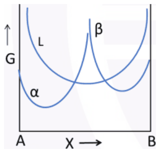 Alpha and beta curves low at the ends, L curve higher in the middle