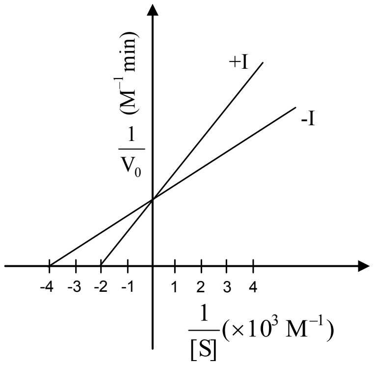 Double reciprocal plot of 1/V0 against 1/[S] in units of 10^3 per M: the -I and +I lines meet on the 1/V0 axis; the -I line cuts the 1/[S] axis at -4 and the +I line at -2