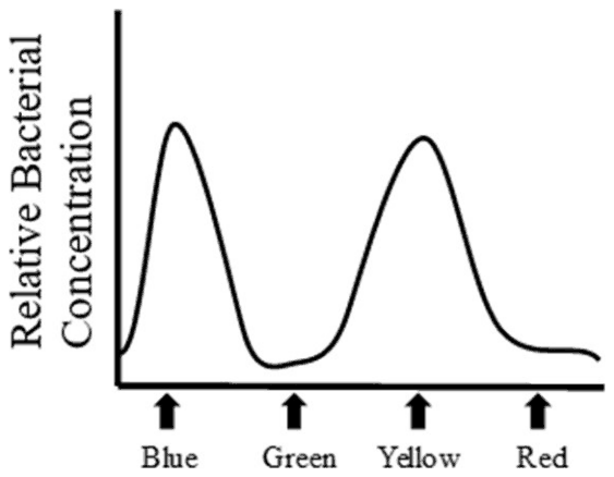Bacterial concentration against position with peaks at Blue and Yellow and low values at Green and Red