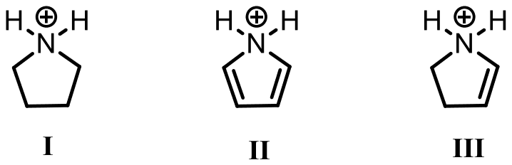 Three N-protonated five-membered rings, each bearing NH2+: I pyrrolidinium (saturated); II pyrrole protonated on N (two ring C=C bonds); III a ring with one C=C bond next to the protonated N.