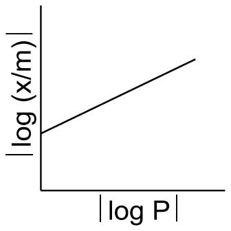 Plot of absolute log (x/m) against absolute log P: a rising straight line with a positive intercept