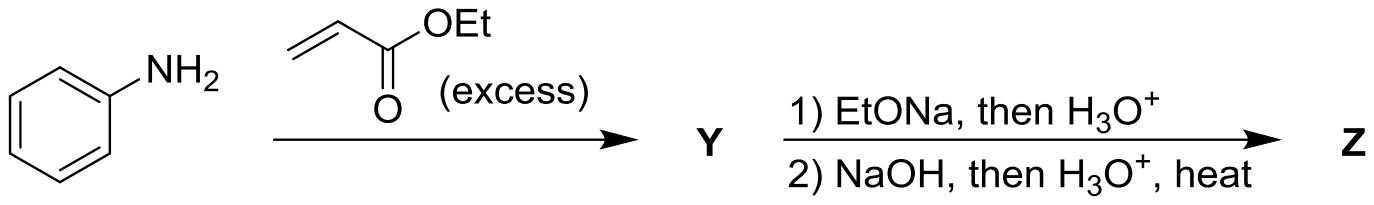 Reaction scheme: aniline treated with excess ethyl acrylate to give Y, then 1) EtONa then H3O+, 2) NaOH then H3O+ and heat to give Z