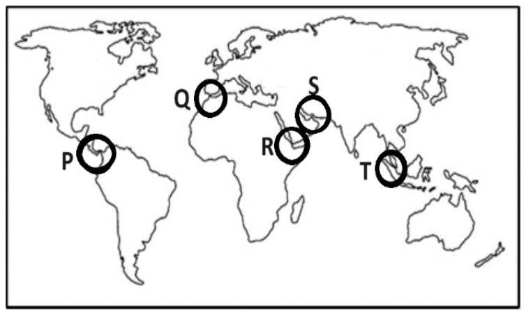 World map with five circled sea passages labelled P (Central America), Q (the Mediterranean entrance at north-west Africa), R (the southern Red Sea), S (the Persian Gulf region) and T (the sea between the Malay Peninsula and Sumatra)