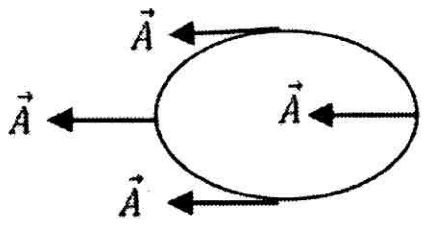 An ellipse with arrows of vector A at four points, all pointing left, drawn along the major axis side to side
