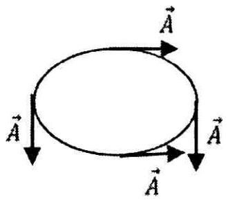An ellipse with arrows of vector A at four points: right at the top, down at the left, right at the bottom, down at the right