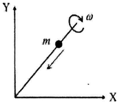 X and Y axes with Y upward; the rod is pivoted at the origin and rotates with angular velocity omega, making an angle with the X axis, and the bead m is on the rod